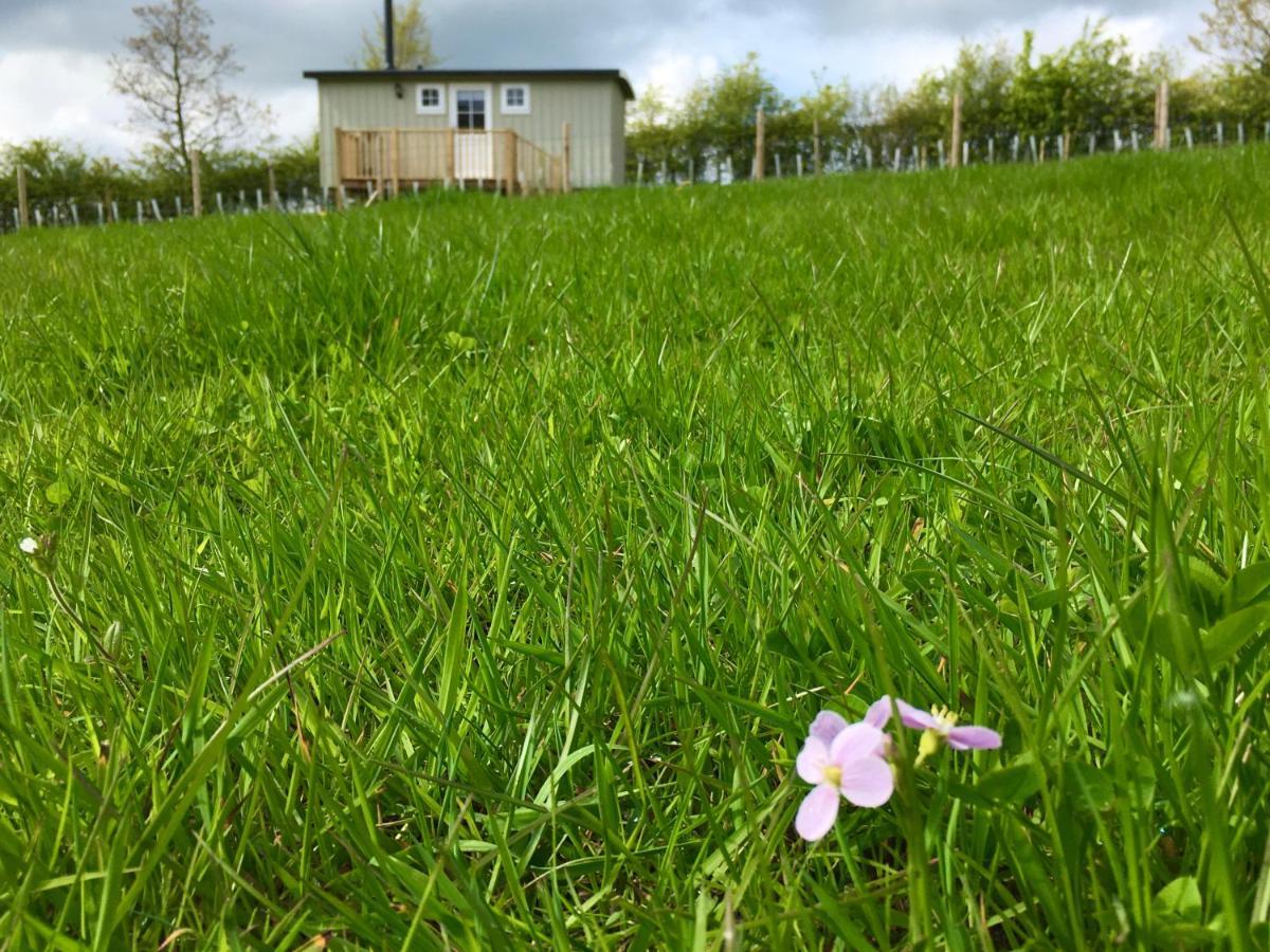 Rosemary Shepherds Hut, Clay Bank Huts Ingleby Greenhow Exterior foto
